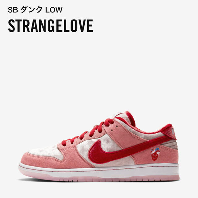 STRANGELOVE × NIKE SB DUNK LOW 28㎝