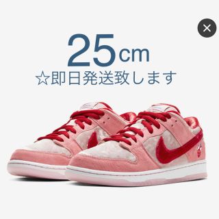 ナイキ(NIKE)のNINEナイキ SB DUNK ストレンジラブ 25cm ダンクLOWプロ 新品(スニーカー)