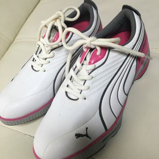 プーマ(PUMA)の新品ゴルフシューズ(その他)