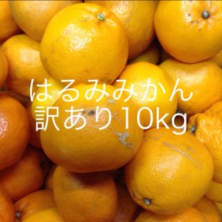 はるみみかん10kg 訳あり(フルーツ)