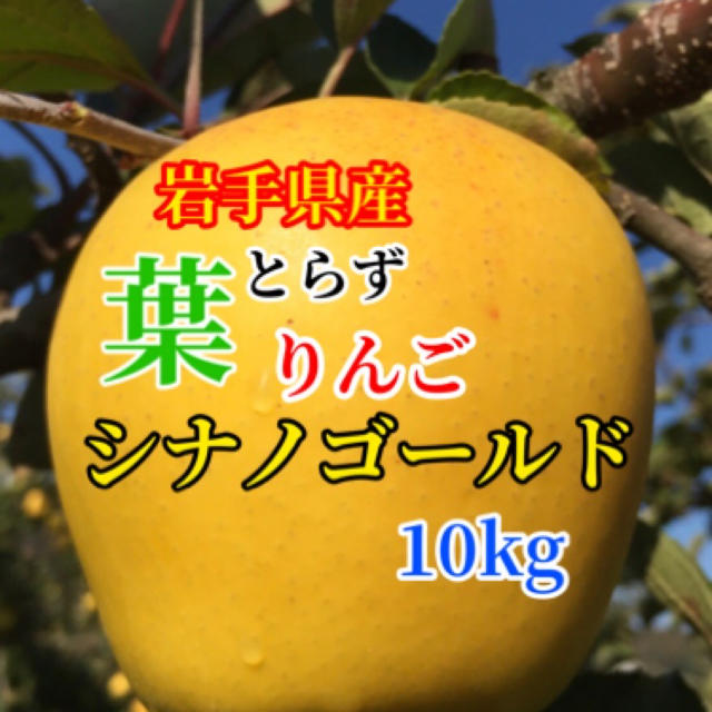 【送料込】葉とらずりんご シナノゴールド 30〜40個 約10kg 食品/飲料/酒の食品(フルーツ)の商品写真