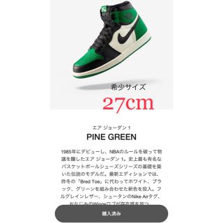 ナイキ(NIKE)のAIR JORDAN 1 RETRO HIGH OG PINE GREEN(スニーカー)