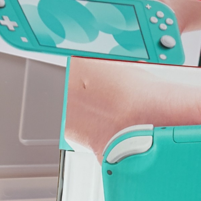 Nintendo Switch(ニンテンドースイッチ)のNintendo Switch Lite　任天堂スイッチライト エンタメ/ホビーのゲームソフト/ゲーム機本体(家庭用ゲーム機本体)の商品写真
