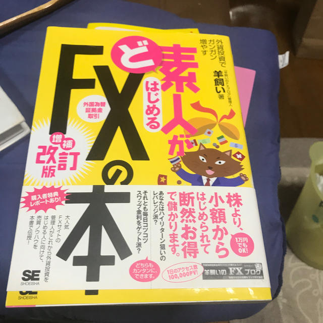 ど素人がはじめるＦＸ（外国為替証拠金取引）の本 外貨投資でガンガン増やす 増補改 エンタメ/ホビーの本(ビジネス/経済)の商品写真