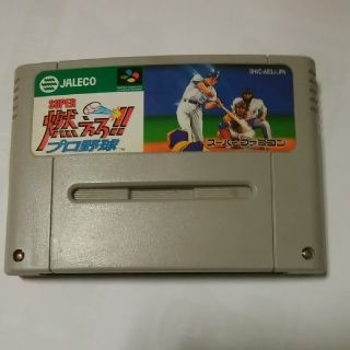 燃えろプロ野球(家庭用ゲームソフト)