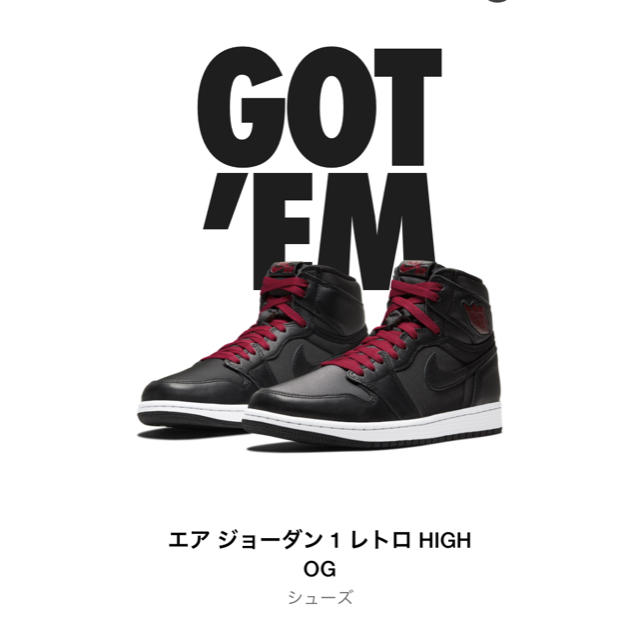 NIKE AIR JORDAN 1 HIGH 28.0㎝　エアジョーダン 1