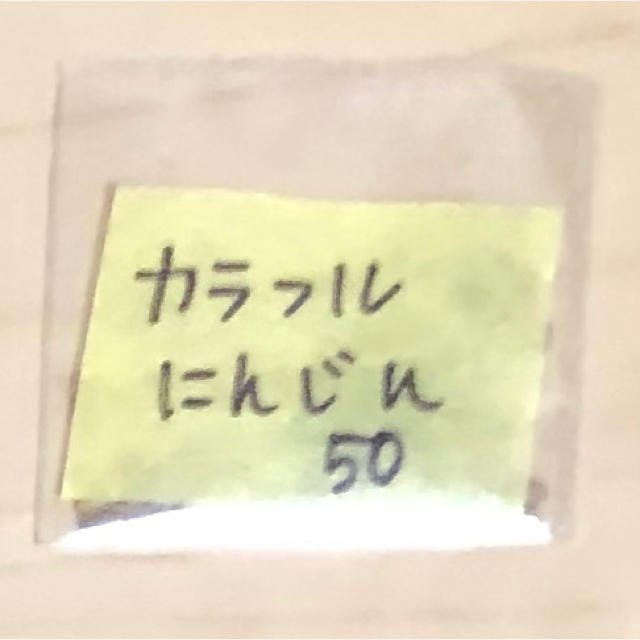 【豪華おまけ付‼️】カラフルにんじんの種 50粒 ニンジン 人参 野菜 種 タネ 食品/飲料/酒の食品(野菜)の商品写真