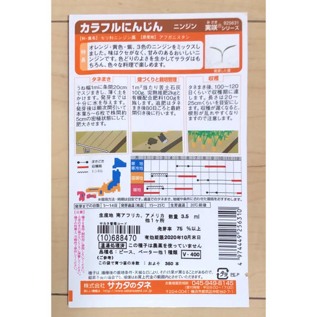 【豪華おまけ付‼️】カラフルにんじんの種 50粒 ニンジン 人参 野菜 種 タネ 食品/飲料/酒の食品(野菜)の商品写真