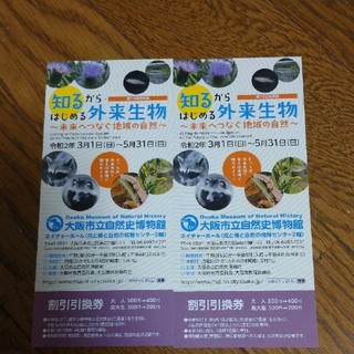大阪市立自然史博物館 知るからはじめる外来生物 割引引換券 2枚(その他)