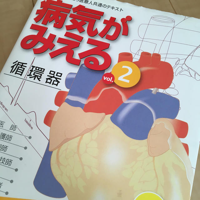 病気がみえる チーム医療を担う医療人共通のテキスト ｖｏｌ．２ 改訂第４版 エンタメ/ホビーの本(健康/医学)の商品写真