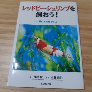 レッドビー・シュリンプを飼おう！(アクアリウム)