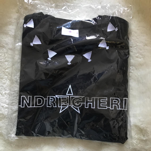 堂本剛 ENDRECHERI エンドリケリー スウェット トレーナー M 堂本剛 ENDRECHERI エンドリケリー スウェット トレーナー M