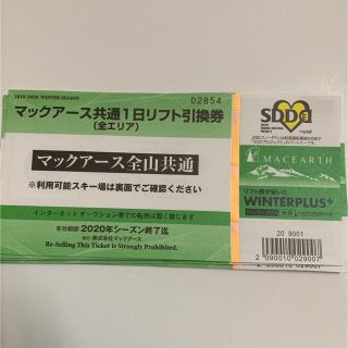 マックアース　全山共通リフト券　2枚高鷲スノーパーク　ダイナランド  鷲ヶ岳(ウィンタースポーツ)