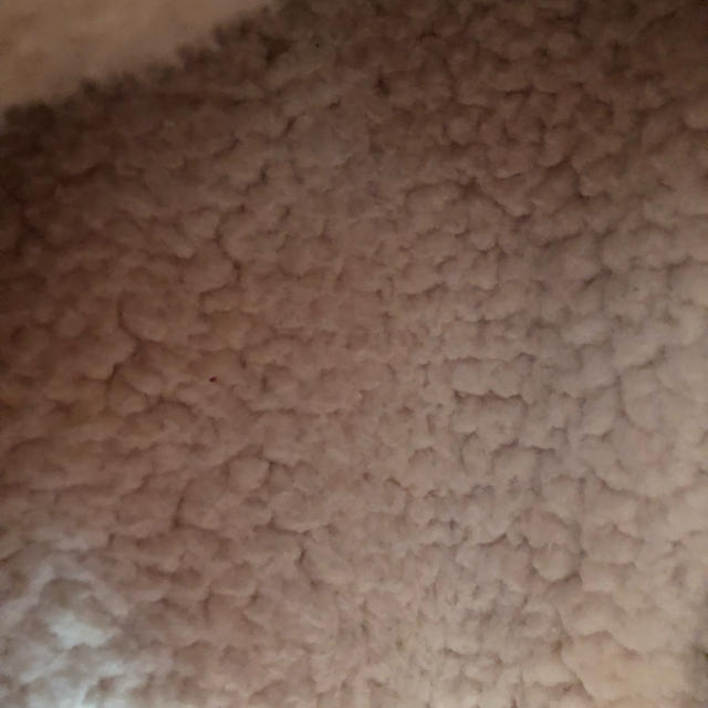 CECIL McBEE(セシルマクビー)のCECIL McBEE  コート  サーモンピンク  レディースのジャケット/アウター(ダウンコート)の商品写真
