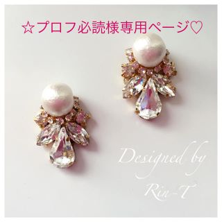 ☆プロフ必読様専用ページです♡(ピアス)