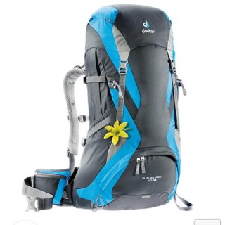 ドイター(Deuter)のドイター　フォーチュラプロ40SL  バックパック　リュック(リュック/バックパック)