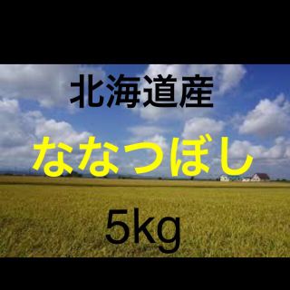 北海道産　ななつぼし(米/穀物)