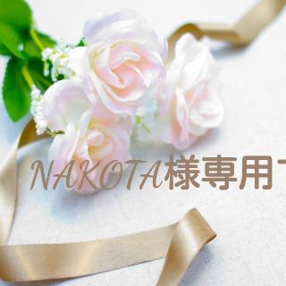 NAKOTA様専用です。(イヤリング)