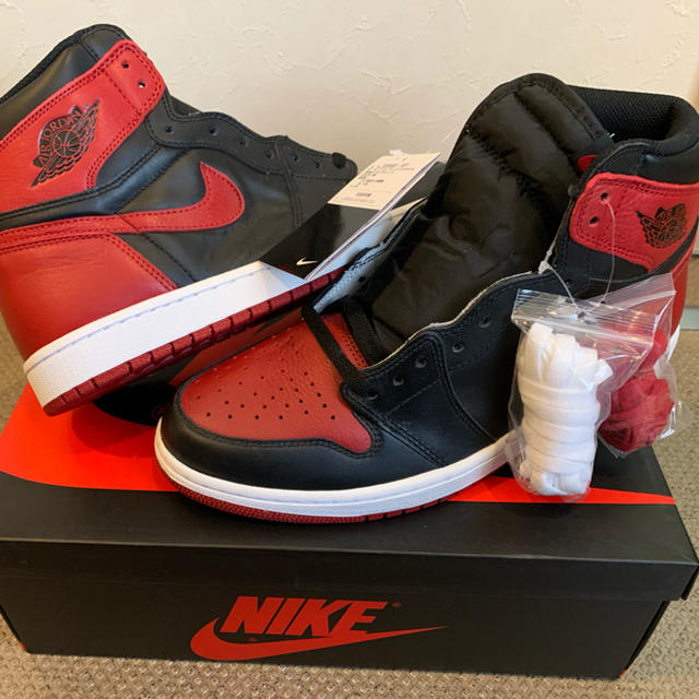 NIKE(ナイキ)の29cm Air Jordan 1 Retro High OG 新品国内正規 メンズの靴/シューズ(スニーカー)の商品写真