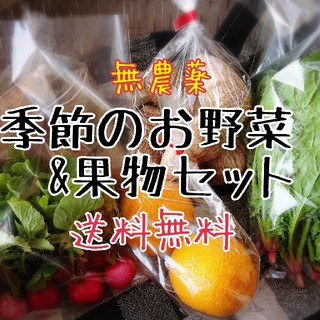 季節のお野菜&果物セット 無農薬(野菜)