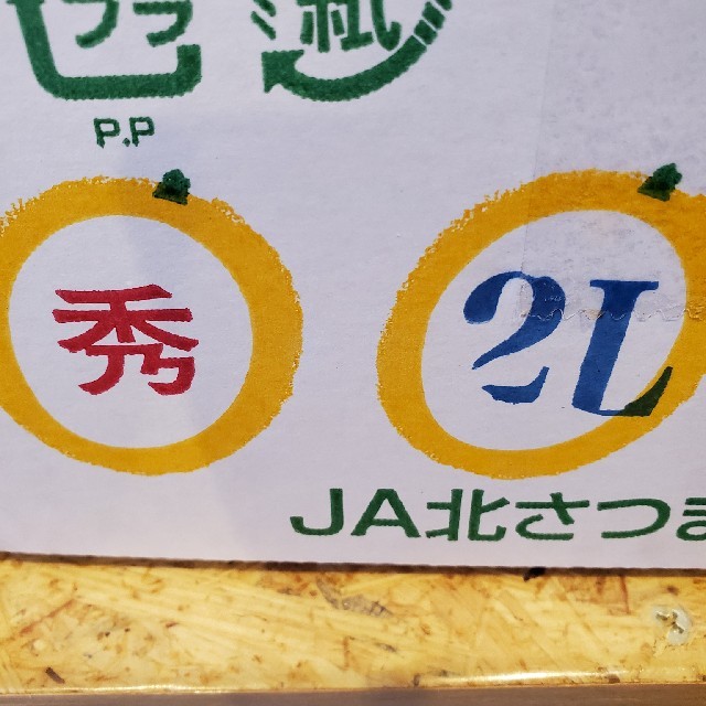 値下げ中!!　鹿児島県産「あまーーーーいきんかん」2Lサイズ　1kg入り 食品/飲料/酒の食品(フルーツ)の商品写真