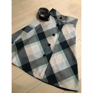 バーバリーブルーレーベル(BURBERRY BLUE LABEL)の極美品♡ブルーレーベルクレストブリッジ リバーシブル フレアスカート(ひざ丈スカート)