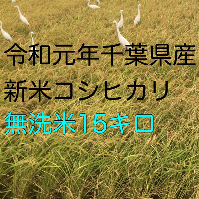 コシヒカリ無洗米15キロ　米/穀物