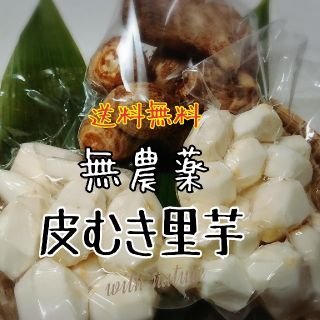 洗い里芋 無農薬(野菜)