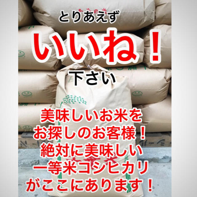 料亭との取引がある最高品質一等米コシヒカリ玄米20キロ本物のコシヒカリを食卓に食品