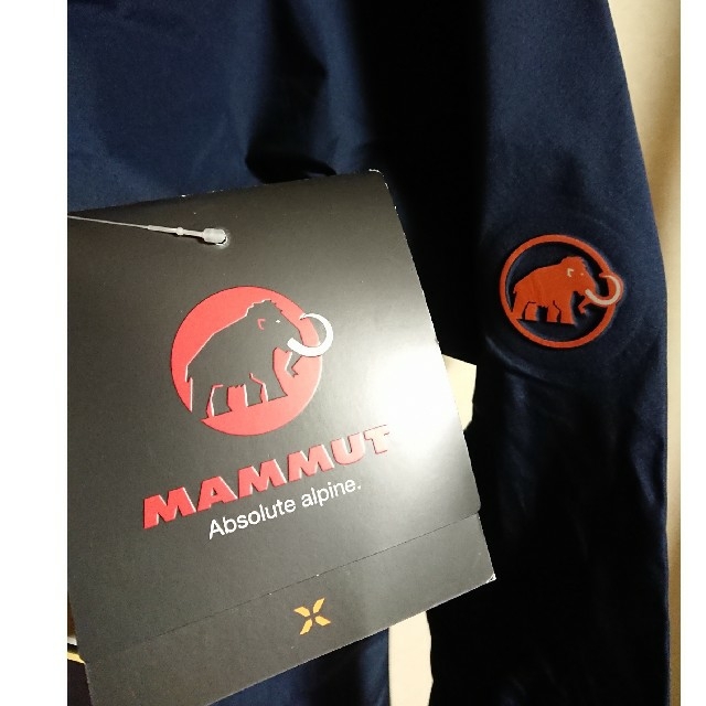 Mammut(マムート)の3月一杯 最終価格 マムート アイガー エクストリーム   スポーツ/アウトドアのアウトドア(登山用品)の商品写真