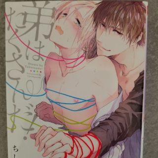 【再度値下げ！】BL漫画『弟はたくさんだ！』ちしゃの実(ボーイズラブ(BL))