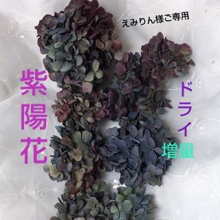 専用＊北海道の秋色紫陽花＊ドライ＊ブルー系＊(ドライフラワー)