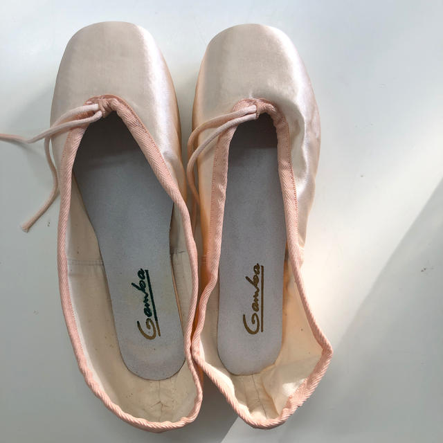 repetto(レペット)のGambaトゥシューズG 93 N5(24㎝)細幅 スポーツ/アウトドアのスポーツ/アウトドア その他(ダンス/バレエ)の商品写真