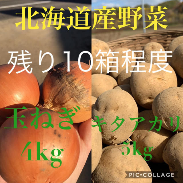 北海道産キタアカリ5kg 玉ねぎ4kg 残り10 食品/飲料/酒の食品(野菜)の商品写真