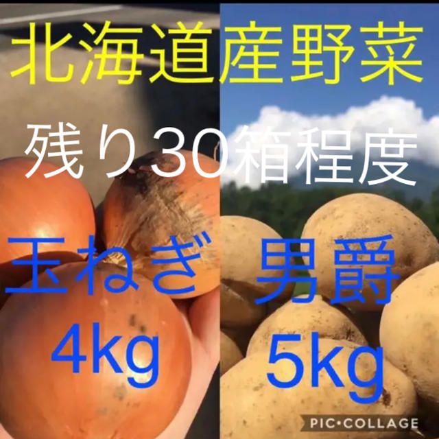 北海道産じゃがいも5kg 玉ねぎ4kg 食品/飲料/酒の食品(野菜)の商品写真