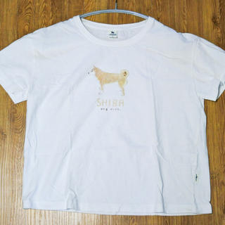ドッグデプト(DOG DEPT)の柴犬Tシャツ　Lサイズ(Tシャツ(半袖/袖なし))