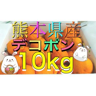 熊本県産デコポン10kg(フルーツ)