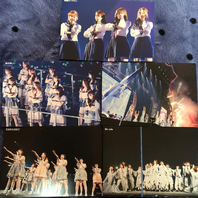 乃木坂46(ノギザカフォーティーシックス)の乃木坂46 7th year birthday Live エンタメ/ホビーのDVD/ブルーレイ(アイドル)の商品写真