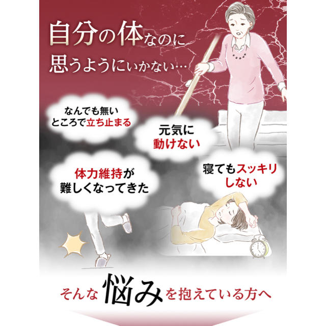 再春館製薬所(サイシュンカンセイヤクショ)の再春館製薬　長白参 食品/飲料/酒の健康食品(アミノ酸)の商品写真