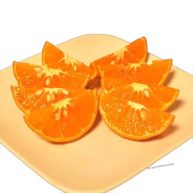 【Ｓサイズ】希少品種「べにばえ」天草産和製オレンジ S × 20個 食品/飲料/酒の食品(フルーツ)の商品写真