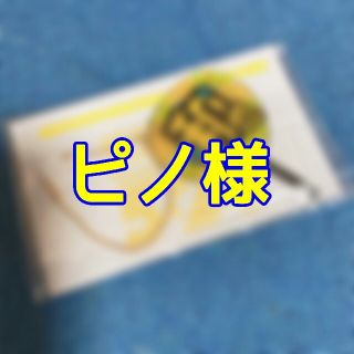 アラシ(嵐)のピノ様専用ページ(キーホルダー/ストラップ)