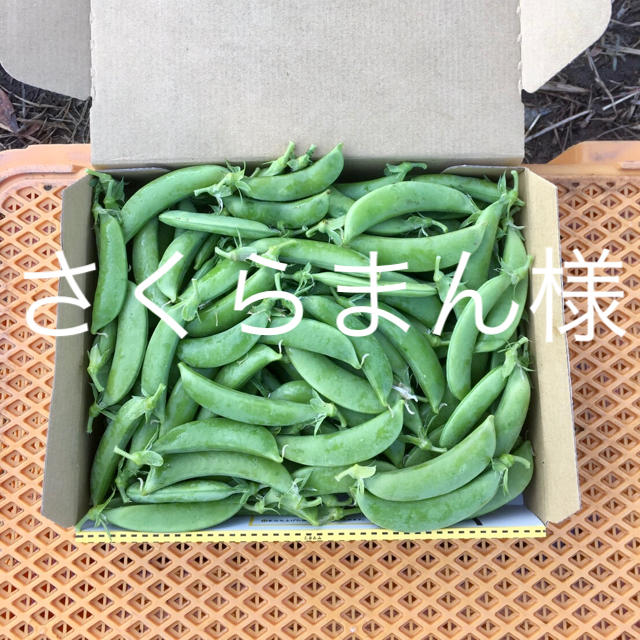 鹿児島産甘スナップエンドウ箱込み1キロ^_^ 食品/飲料/酒の食品(野菜)の商品写真