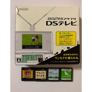 ニンテンドーDS(ニンテンドーDS)のDSソフト　(携帯用ゲームソフト)