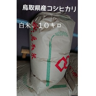 白米10kg.令和元年鳥取産､コシヒカリ(米/穀物)