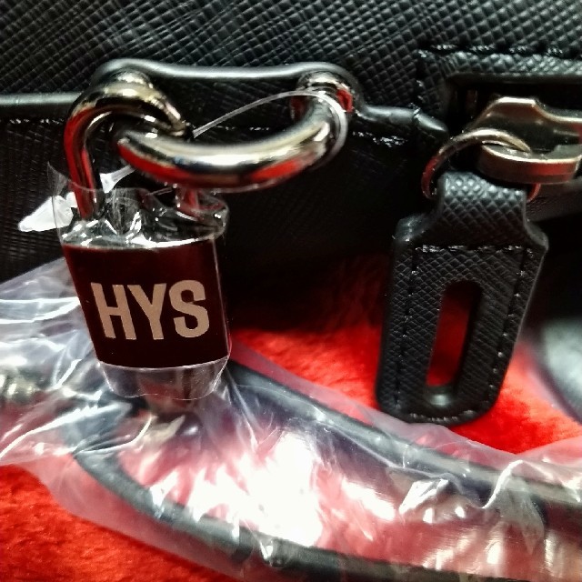 HYSTERIC GLAMOUR(ヒステリックグラマー)のヒステリックグラマー　リップバック レディースのバッグ(ハンドバッグ)の商品写真