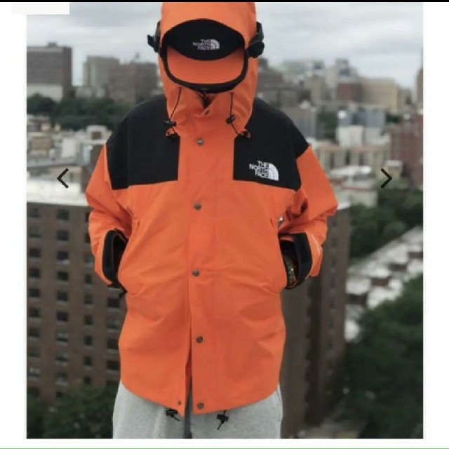 THE NORTH FACE 1990 MOUNTAIN JACKET GTX