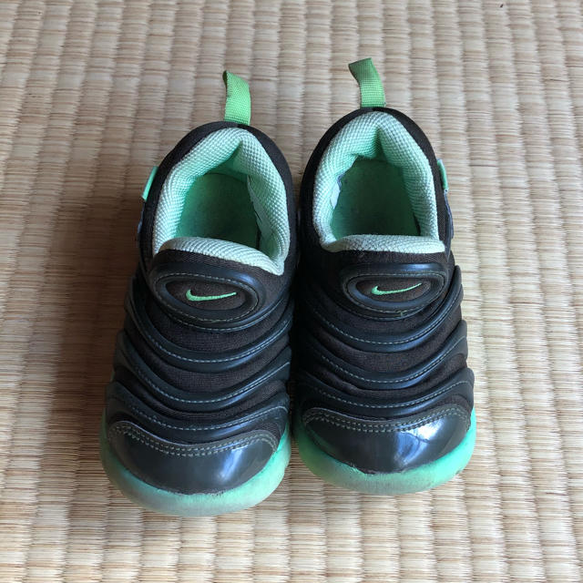 NIKE(ナイキ)のナイキ　ダイナモ　15センチ キッズ/ベビー/マタニティのキッズ靴/シューズ(15cm~)(スニーカー)の商品写真