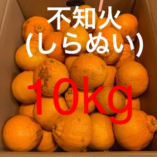 和歌山県 訳あり傷あり不知火(しらぬい)約10Kg  (フルーツ)