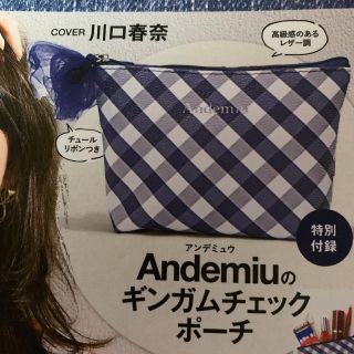 アンデミュウ(Andemiu)のAndemiuのギンガムチェックポーチ 新品(ポーチ)