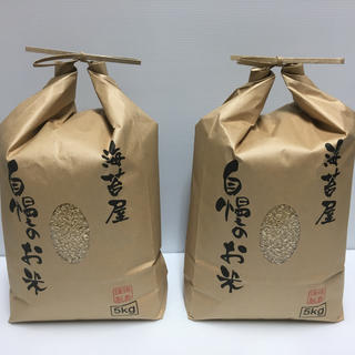 無農薬 玄米 コシヒカリ 10kg(5kg×2) 令和元年 徳島県産(米/穀物)